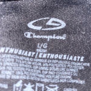 Large gray champion sports bra